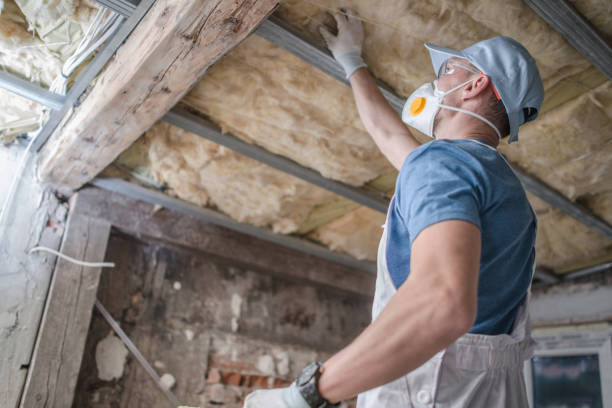 Best Geographic-Specific Insulation Services in Pablo, MT